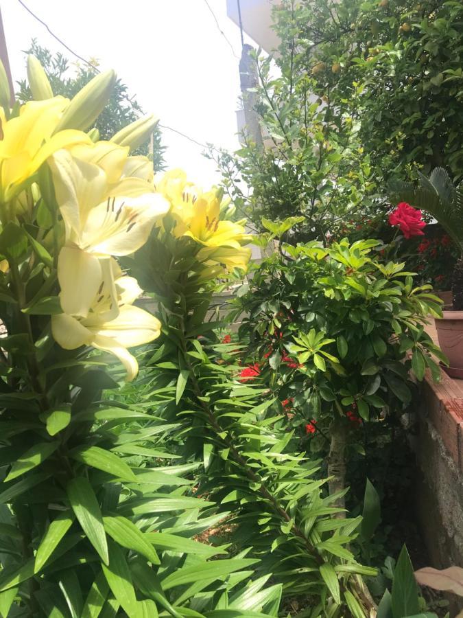 Vita Apartment - Spacious Garden And Balcony 5 Min To Beach & Center Ksamil Exterior foto